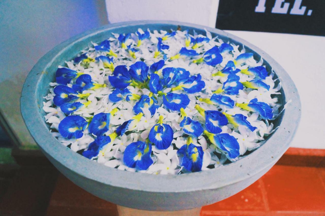 Oasis Skybeach Hostel - Negombo Dış mekan fotoğraf
